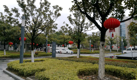 挂灯笼，贴春联  伟德源自英国始于1946科技园内年味浓