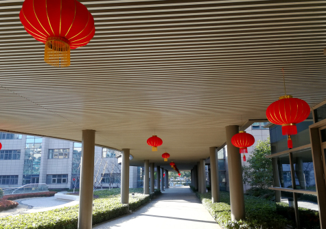 挂灯笼，贴春联  伟德源自英国始于1946科技园内年味浓